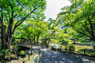 新緑の日比谷公園