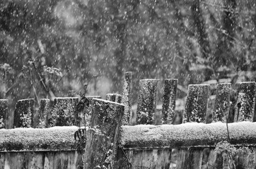 The rural wooden fence covered with snow in winter time in black-and-white style