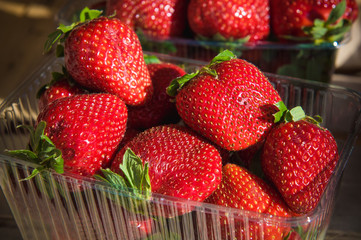 fresh red strawberries in the market