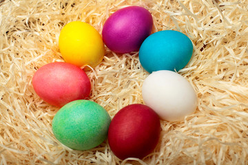 Fototapeta na wymiar Colorful easter eggs ordered in circle.With bordo feather.Colored chicken eggs with white feather.On hay background.Easter background. Top view