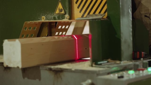 Woodworker puts wooden bar into precise cutting machine with laser pointer at sawmill production, close up