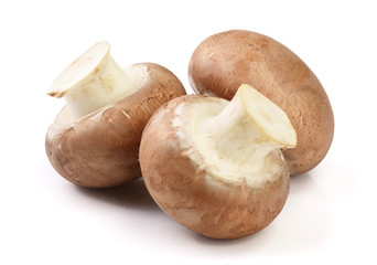 Royal Brown champignon isolated on white background