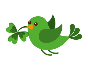 green bird flying with clover in beak vector illustration