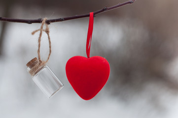 Empty bottle and red heart hanging on tree branch in winter