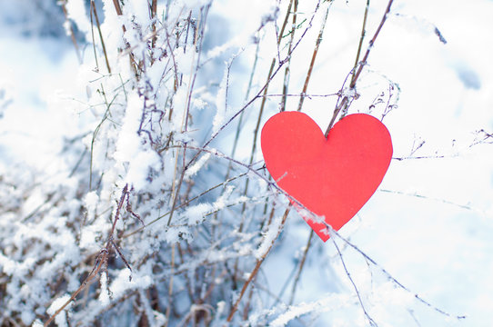 St. Valentine's day decoration. Red paper heart hanging on snowy buh outdoors