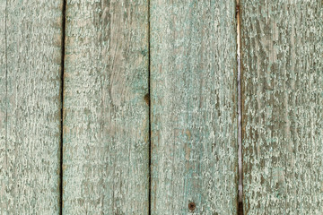 Green old grunge wooden textured wall background.
