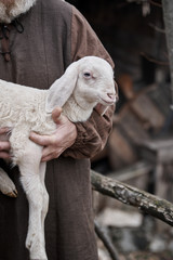 a small lamb in the shepherd's arm