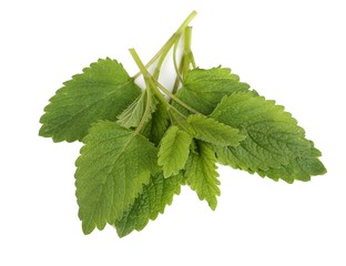 Herbs.