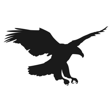 flying eagle vector illustration black silhouette