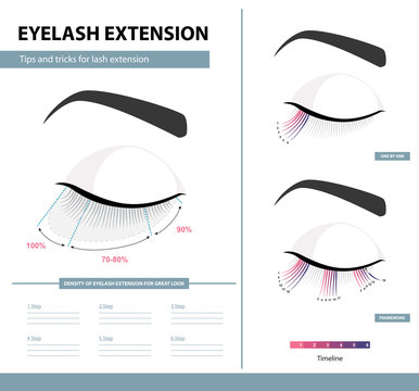Eyelash extension guide. Density of eyelash extension for great look. Tips and tricks. Infographic vector illustration. Template for Makeup and cosmetic procedures. Training poster