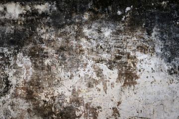 Wall texture