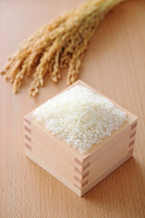 お米　稲穂