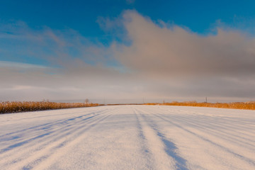 Fototapeta na wymiar Beautiful winter landscape at the morning