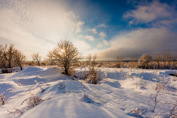 Beautiful winter landscape at the morning