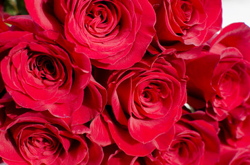 beautiful spring bouquet of red roses. Spring holiday women's day, mother's day