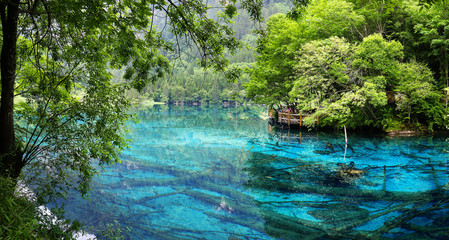 view of colorful lake in jiuzhaigou national park, Sichuan, china - obrazy, fototapety, plakaty