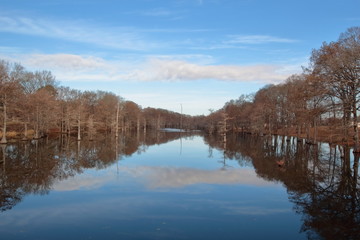 Blue Sky over Bayou Desiard
