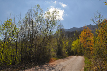 Old road in the mountain in spring. Road that leads high into the mountains