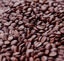 coffee beans.