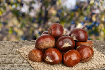 chestnut on the old wooden table with blurred garden background