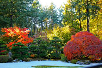 Outstanding Autumn View of Colorful Trees and Leaves in Beautiful Japanese Garden in Portland Oregon USA