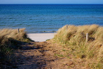 Fototapeta na wymiar Zugang zum Strand an der Ostsee