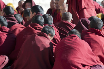 Tibetan monk