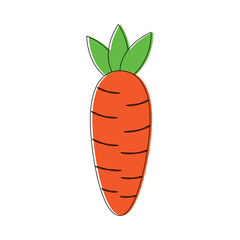 vegetable fresh diet carrot nutrition icon vector illustration