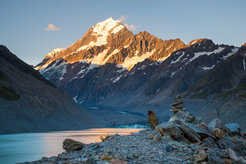 Beautiful scene of Mt Cook before the sunset with Kea Bird, Glacier lake and blue sky, Hook Valley Track, South Island, New Zealand