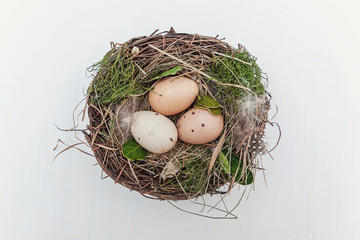 Easter egg in nest with moss on rustic wooden planks. Easter concept. Flat lay. Spring greeting card