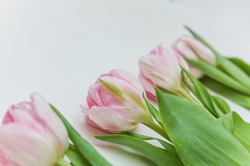 Bouquet of pink tulips over shabby white wooden table. Spring greeting card happy mother day copy space
