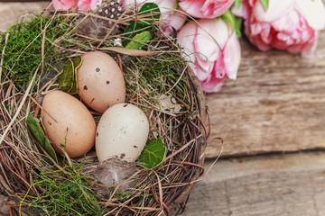 Happy easter greeting card. Easter eggs in nest with pink tulips on rustic wooden background flat lay. space for text, top view