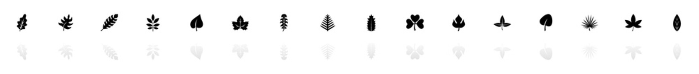 Herb icons - Black horizontal Illustration symbol on White Background with a mirror Shadow reflection. Flat Vector Icon.