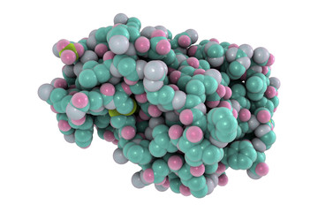 Molecular model of snake venom metalloproteinase from the snake Crotalus adamanteus, 3D illustration
