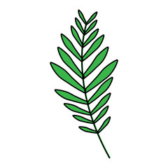 green branch palm leaves frond natural vector illustration