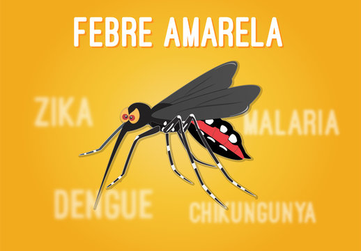 Ferbre Amarela, Mosquito e suas doen&ccedil;as