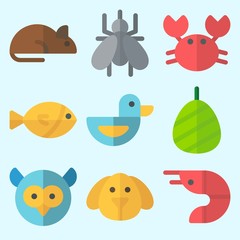 Icons set about Animals with mosquito, prawn, crab, owl, dog and cocoon