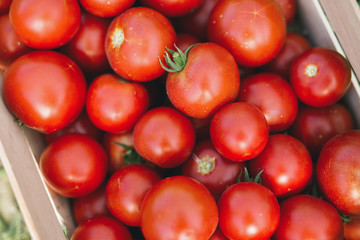 Picture of many tomatoes in wooden crate