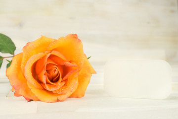 Orange rose with a blank label