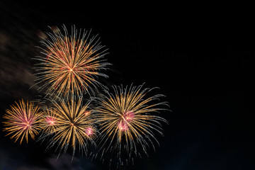 Colourful fireworks in the night of celebration.