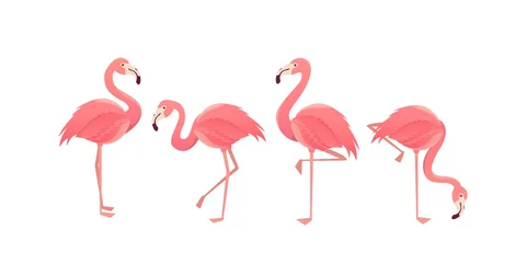 Muurstickers Flamingo bird illustration design on background © Bluehousestudio