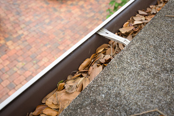 looking down at rain gutters filled with oak tree leaves