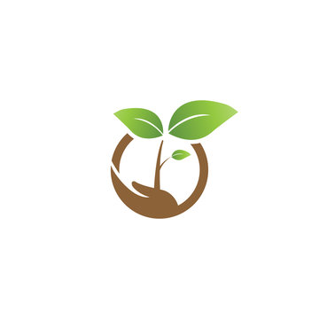 Elegant sprout on a hand and  circle agriculture logo design template vector