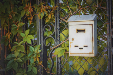 Vintage old mailbox on a gate covered with leaves
