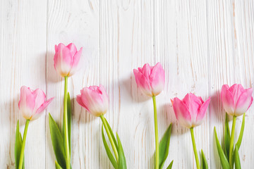 Pink tulip flower on wooden background
