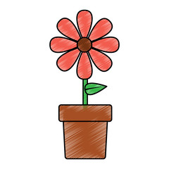 potted flower natural decoration interior vector illustration