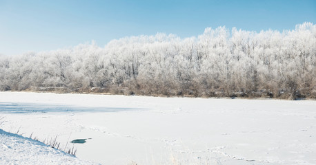 bright winter forest and river with snow, beautiful wild landscape with trees and glade