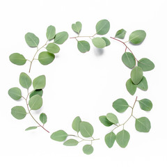 Round frame with branches eucalyptus populus and leaves isolated on white background. lay flat, top view