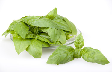 Basil leaves in a glass plate