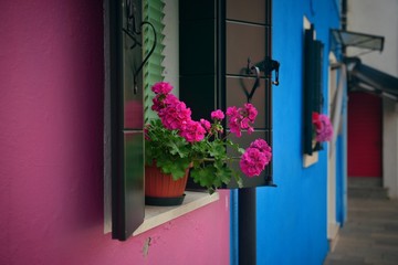 Colorful Burano